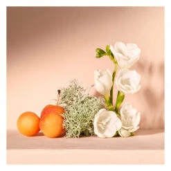 Chloé Chloe Nomade Eau De Parfum Spray 9 Chloé Chloe Nomade Eau De Parfum Spray -Cosmetica Speciaal Winkel 1012951 4