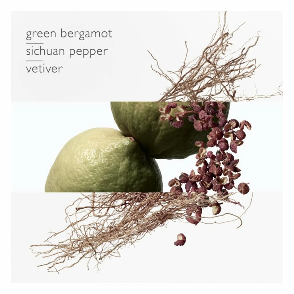 Hermès Hermes Terre Du0027Hermes Eau Intense Vetiver Pray Eau De Parfum Spray 6 Hermès Hermes Terre Du0027Hermes Eau Intense Vetiver Pray Eau De Parfum Spray - Afbeelding 4