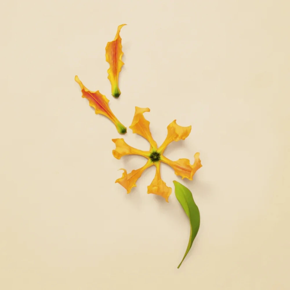 Gucci Guilty Pour Femme Eau De Parfum Spray 6 Gucci Guilty Pour Femme Eau De Parfum Spray - Afbeelding 4