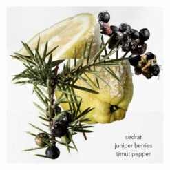 Hermès Hermes Terre Du0027Hermes Eau Givree Eau De Parfum 7 Hermès Hermes Terre Du0027Hermes Eau Givree Eau De Parfum -Cosmetica Speciaal Winkel 1046703 3